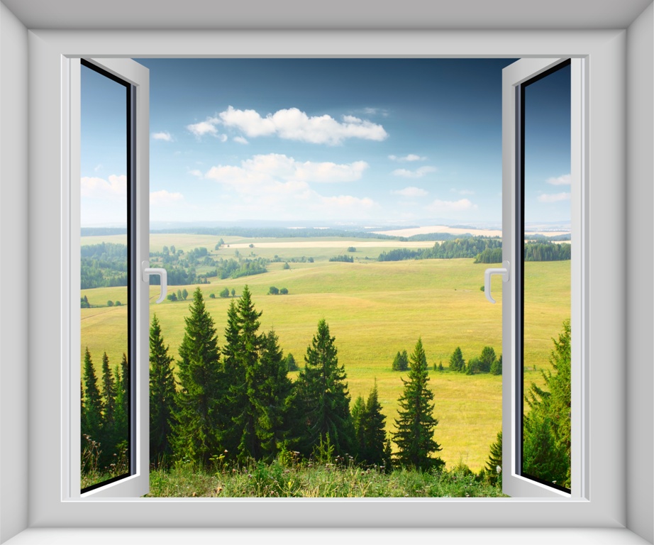 Вид из окна на поле