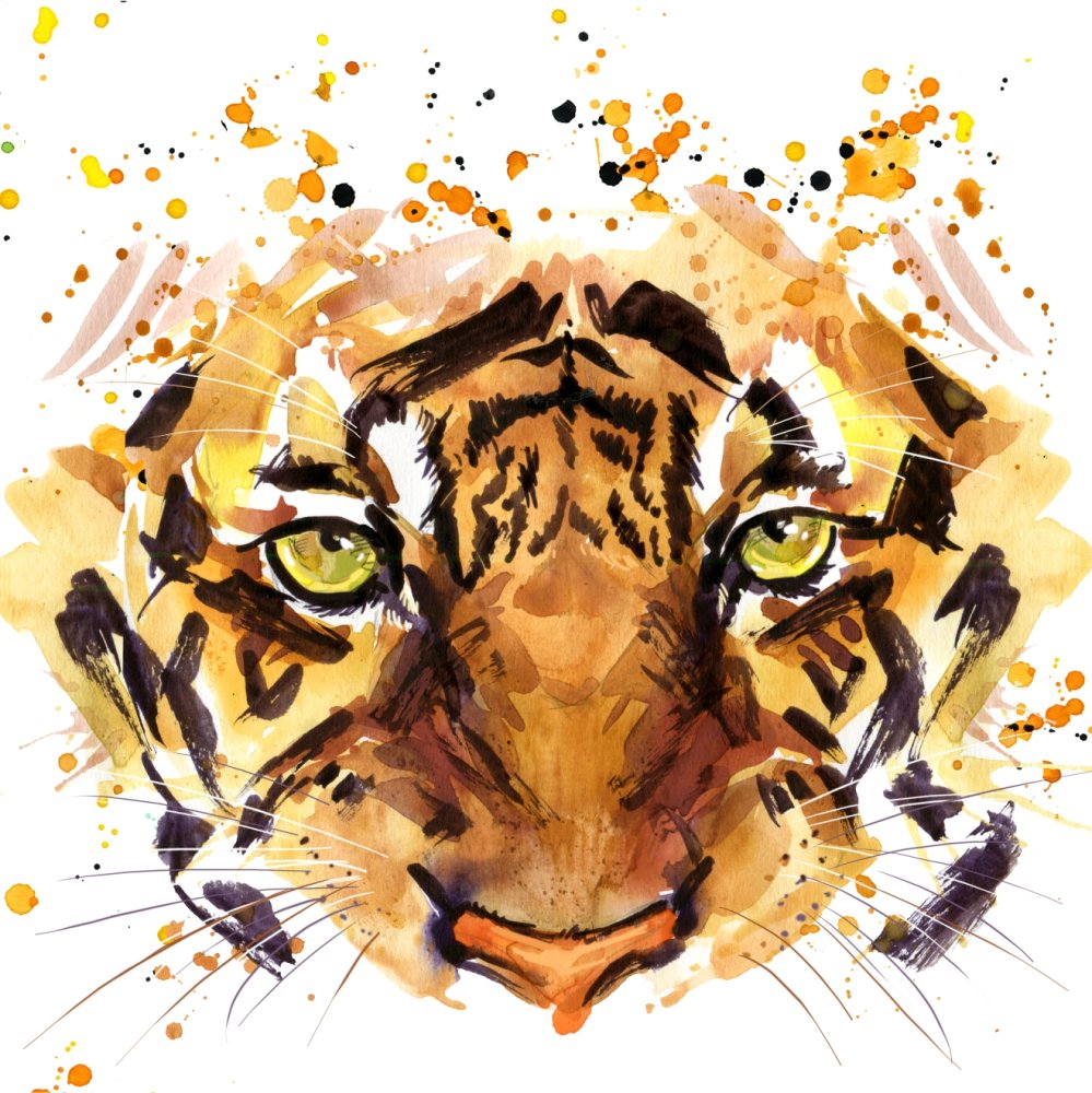 Морда тигра