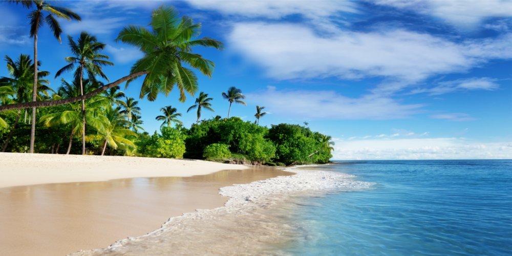 Тропический пляж 10