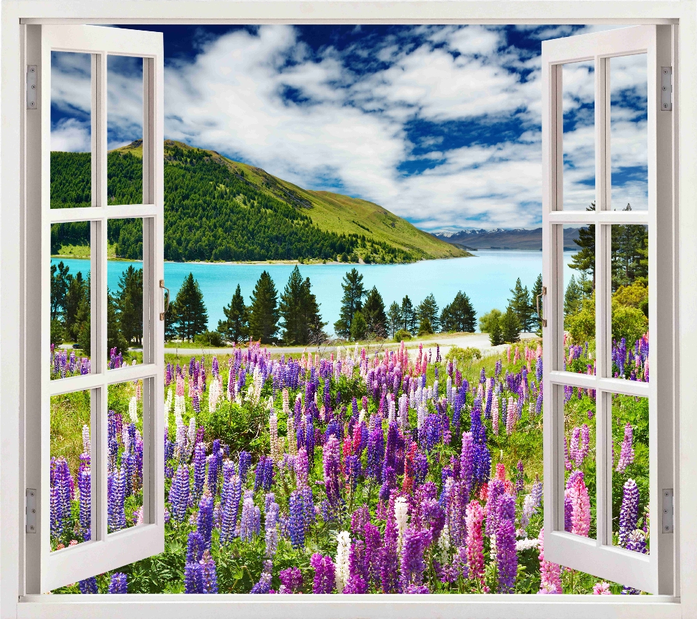 Вид из окна на озеро