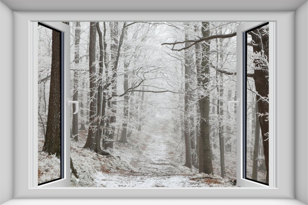Вид из окна на зимний лес