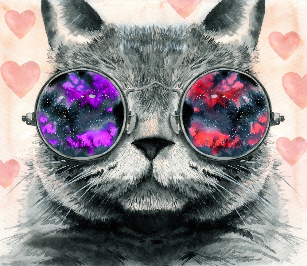 Кот в очках с сердечками 1
