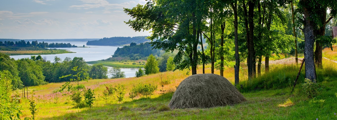 Летний пейзаж 3