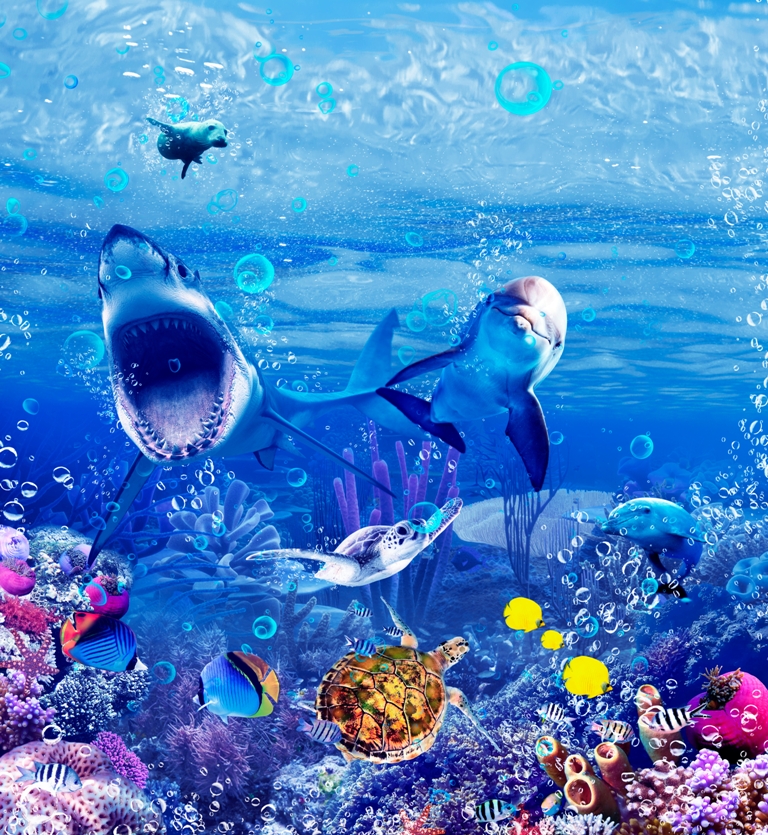 Подводный мир 1