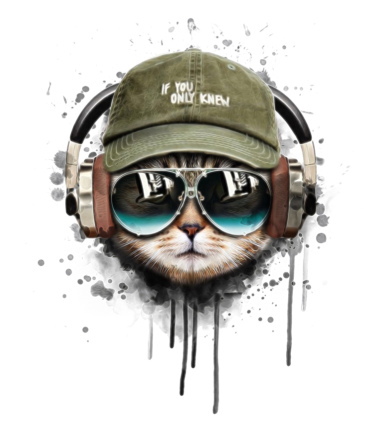Кот в очках 3