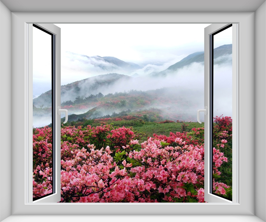 Вид из окна на горный пейзаж с магнолией