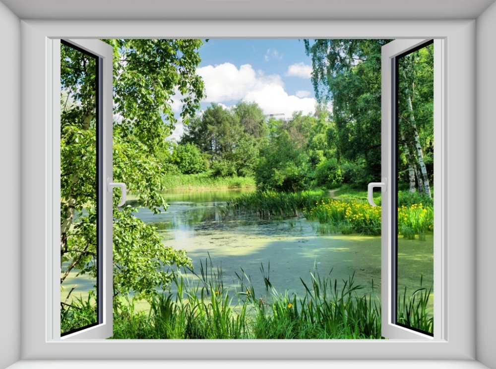 Вид из окна на пруд