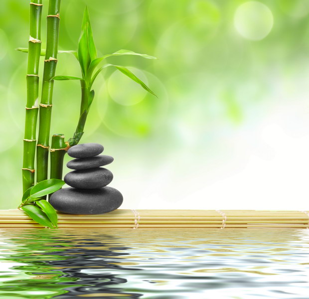 Бамбук и камни