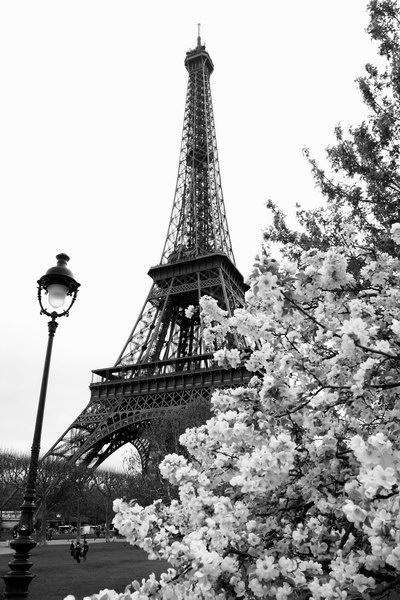 Эйфелева башня в Париже 4