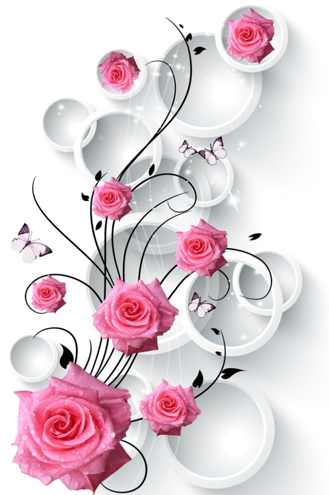 Розовые розы и круги