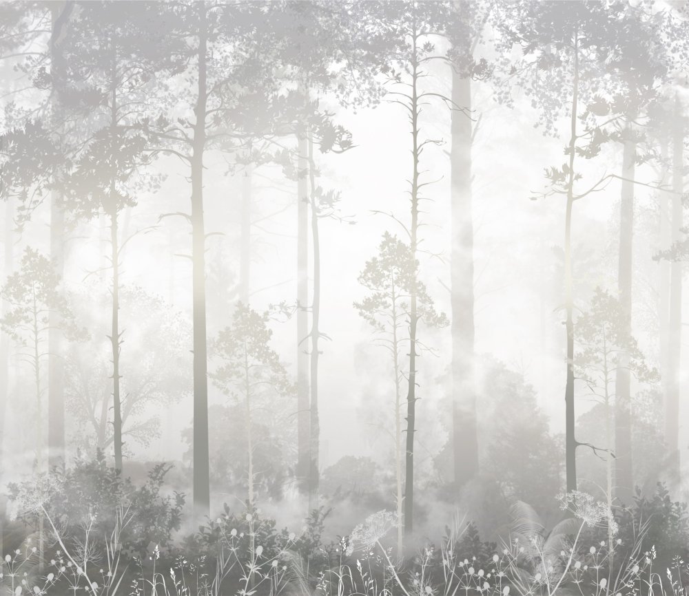 Таинственный лес в тумане 3