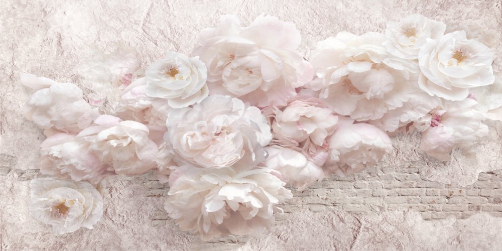 Розовые пионы на кирпичной стене 1