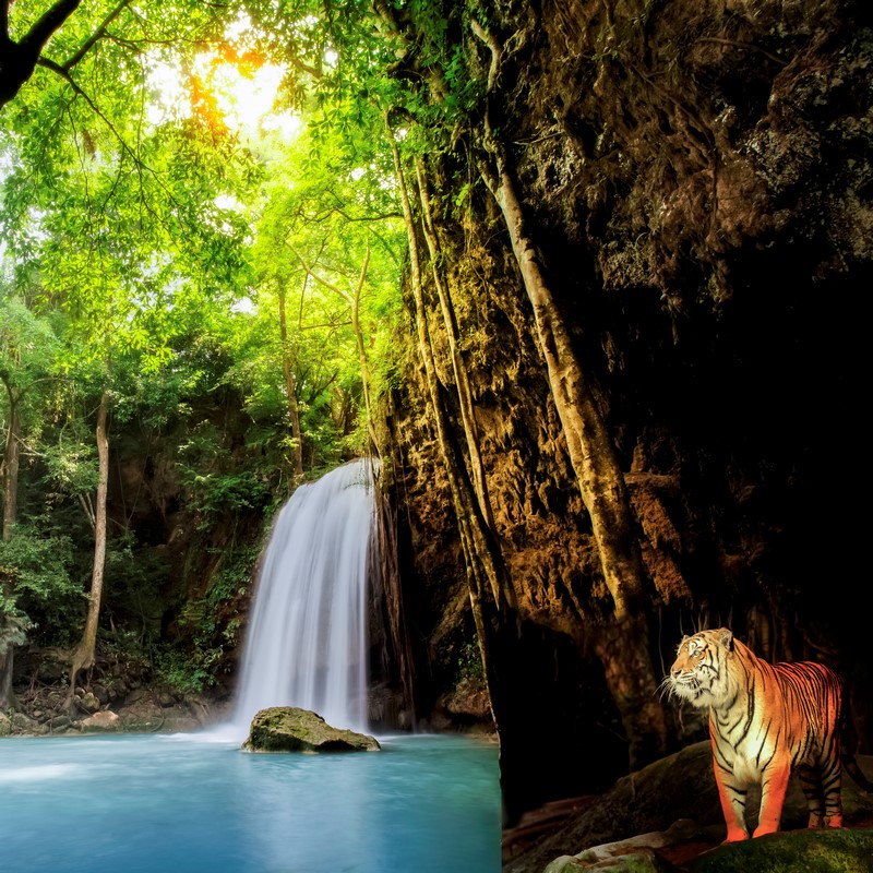 Водопад с тигром