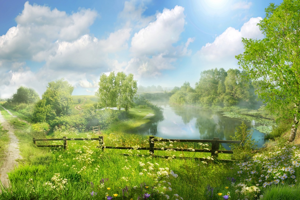 Летний пейзаж 5