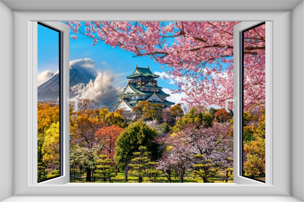 Вид из окна на цветение сакуры