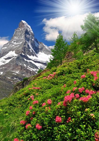 Горный пейзаж 4