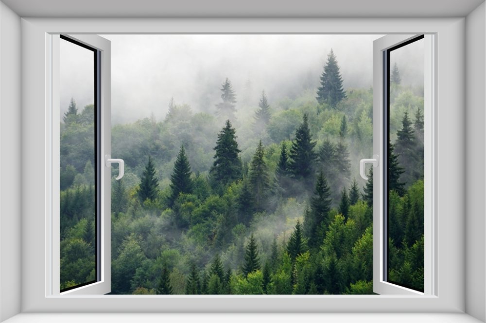 Вид из окна на лес в тумане