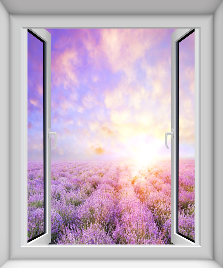 Вид из окна на лаванду