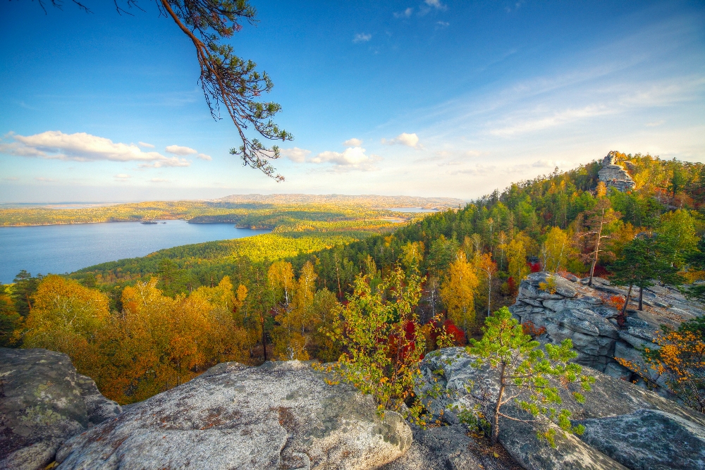 Осенний лес 1