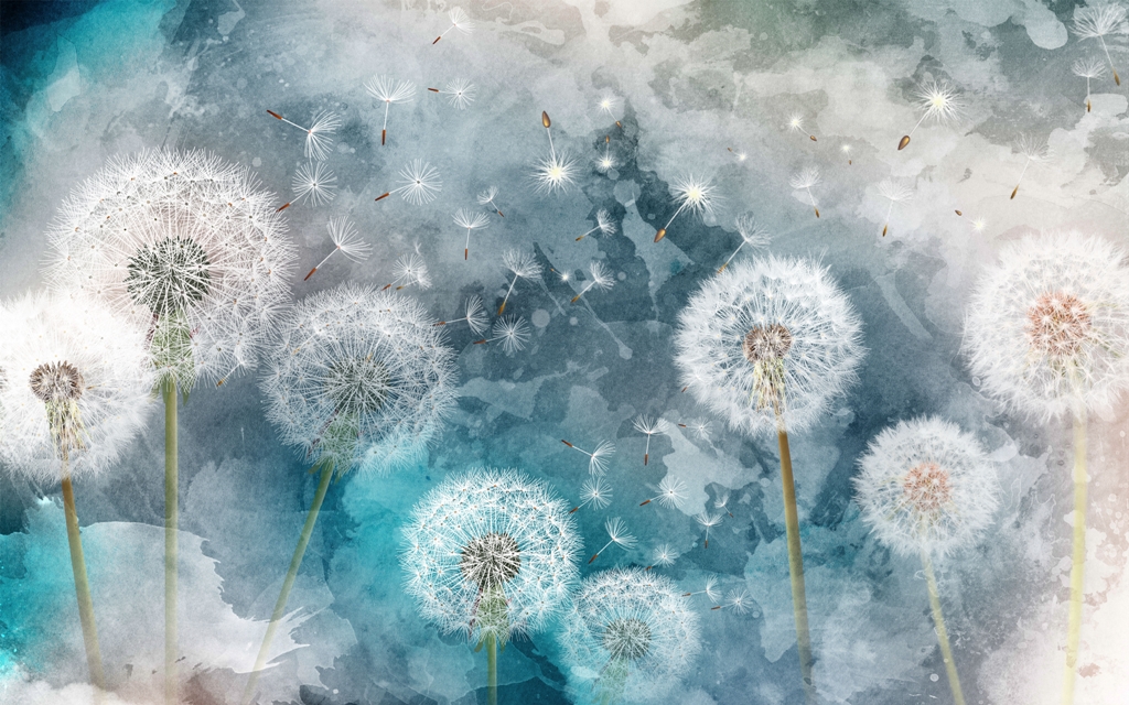 Одуванчики 5