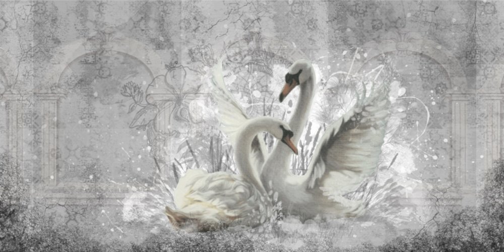 Пара лебедей 4