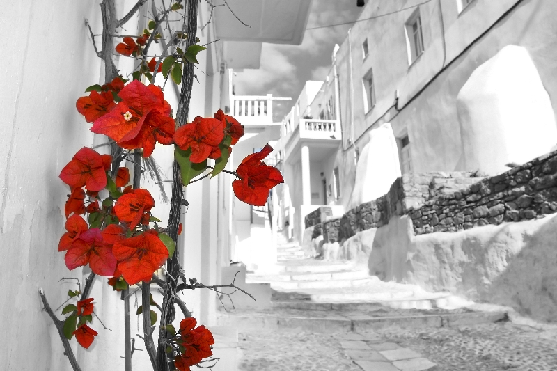 Улица в Греции 11