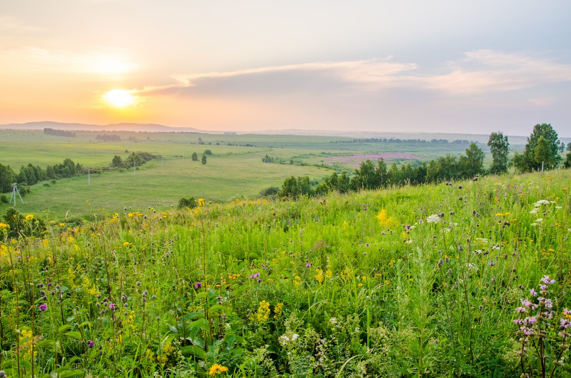 Закат в поле