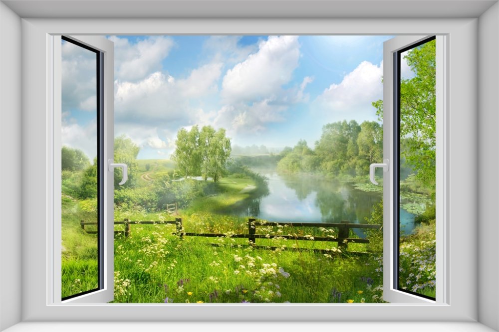 Вид из окна на летний день
