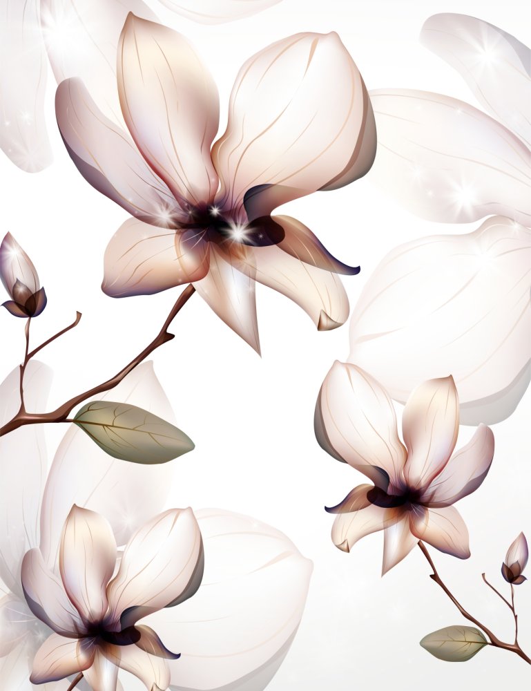 Цветы магнолии 2