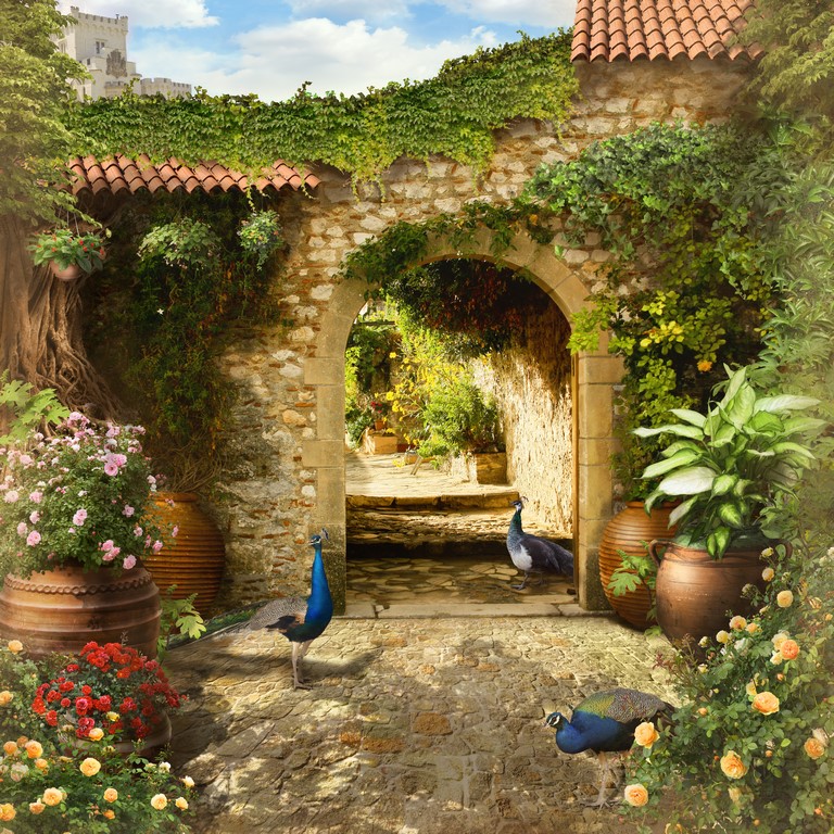 Дворик с павлинами 3