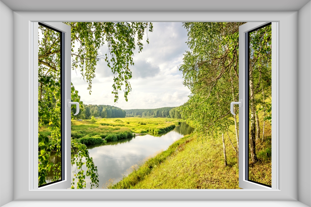 Вид из окна летний пейзаж с березами