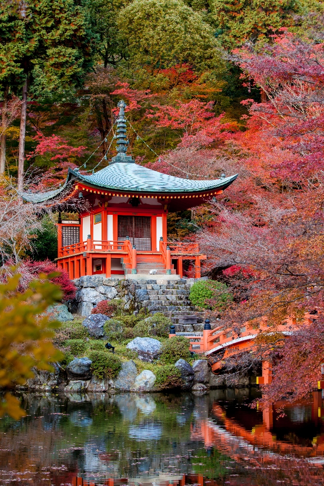 Парк в Японии