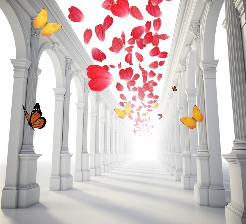 Туннель с бабочками