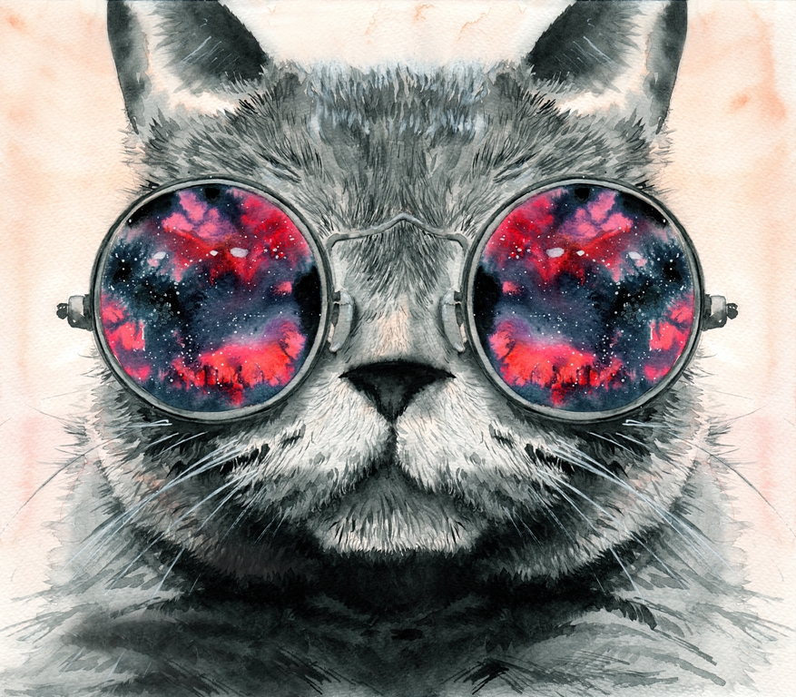 Кот в очках 5