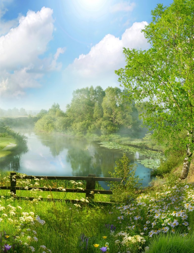 Летний пейзаж 7