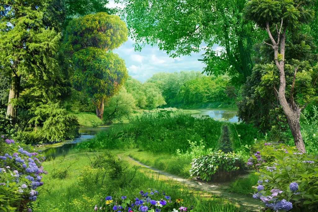 Летний пейзаж 4