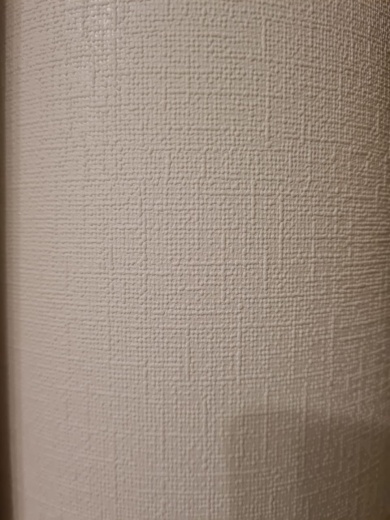 Флизелиновые фотообои "Холст"