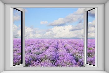 Вид из окна лавандовое поле