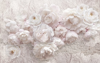 Розовые пионы на кирпичной стене 2
