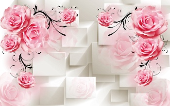 Розовые роозы