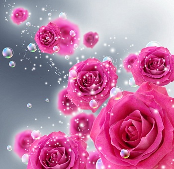 Розовые розы 2