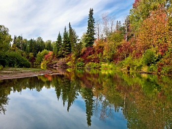 Озеро в лесу