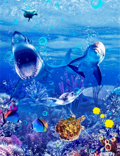 Подводный мир