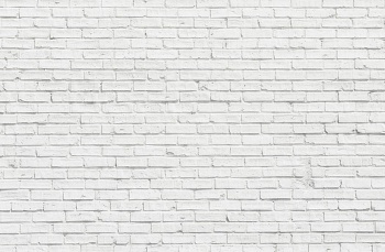 Кирпичная стена 8