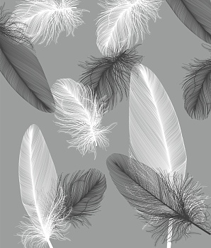 Перья на сером фоне