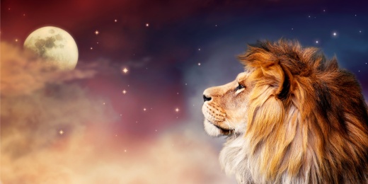 Лев и луна