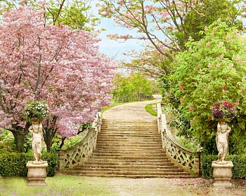 Лестница в парке