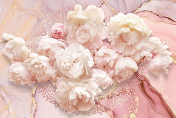 Пионы в розовых оттенках 2