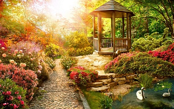 Беседка в парке