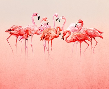 Фламинго 1